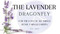 The Lavender Dragonfly
